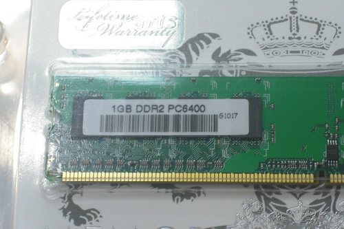 DSCF8187.JPG