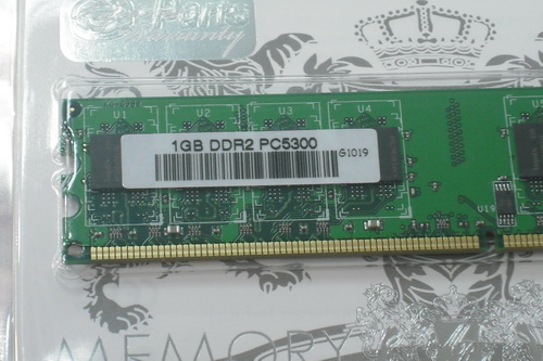 DSCF8202.JPG