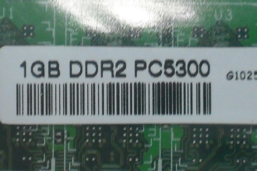DSCF9575.JPG