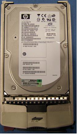 300590-002.jpg