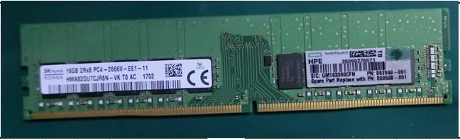 869538-001.jpg