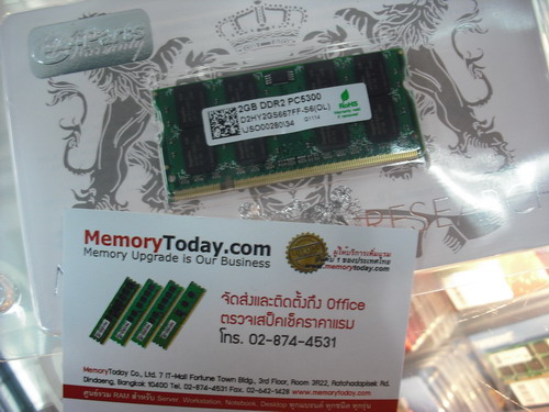 DSCF7317.JPG