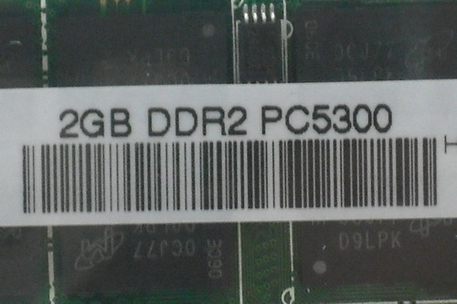 DSCF8173.JPG
