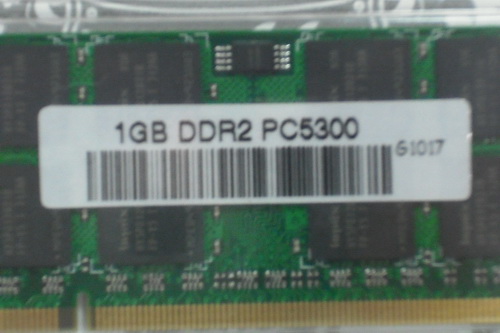 DSCF8486.JPG