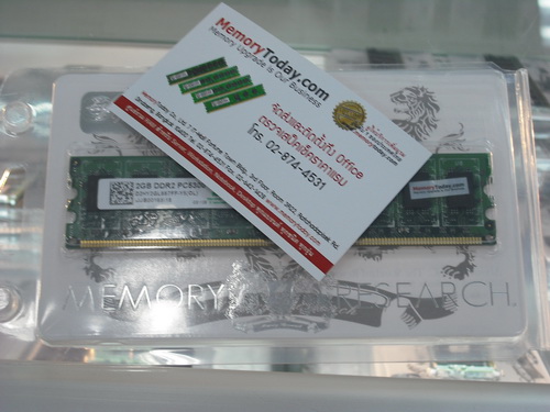 DSCF8648.JPG