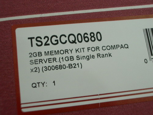 IMGP8129.JPG